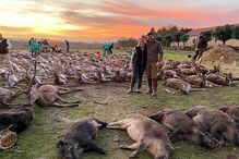 Herdade da Torre Bela, Azambuja, onde foram abatidos 540 animais