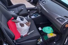 Trio de ladrões com bebé sequestram taxista do Fundão durante mais de 200 quilómetros