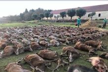 2020-12-24_10_48_12 torre bela.jpg