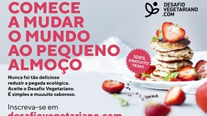 Desafio Vegetariano convida Portugueses a experimentar o vegetarianismo em janeiro