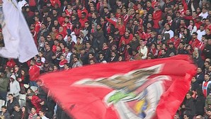 Trinta e sete adeptos do Benfica da ala radical dos No Name Boys acusados de 261 crimes violentos