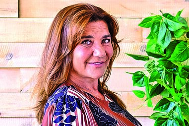 Afinal, o que viu Marina Mota da relação de António Pedro Cerdeira e Susana da Silva