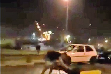 Momento do ataque foi filmado 