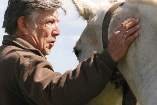 Morreu o cavaleiro Sommer d'Andrade vítima de cancro 