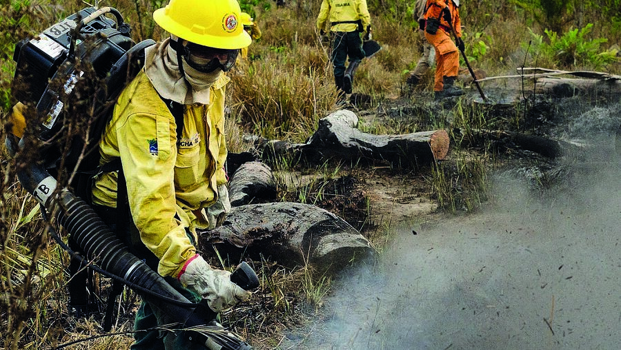 Incêndios na Amazónia