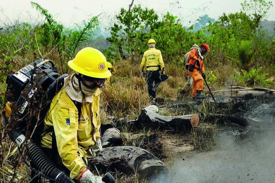 Incêndios na Amazónia