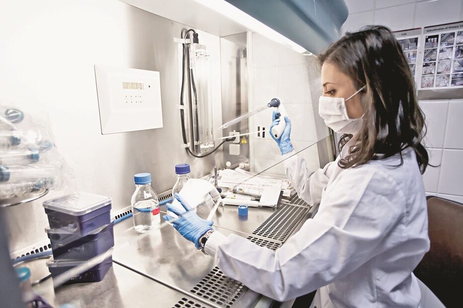 Imagem Abertura - 37244479.jpg (8099370) (Milenium)