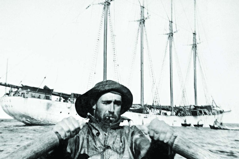 A epopeia do bacalhau