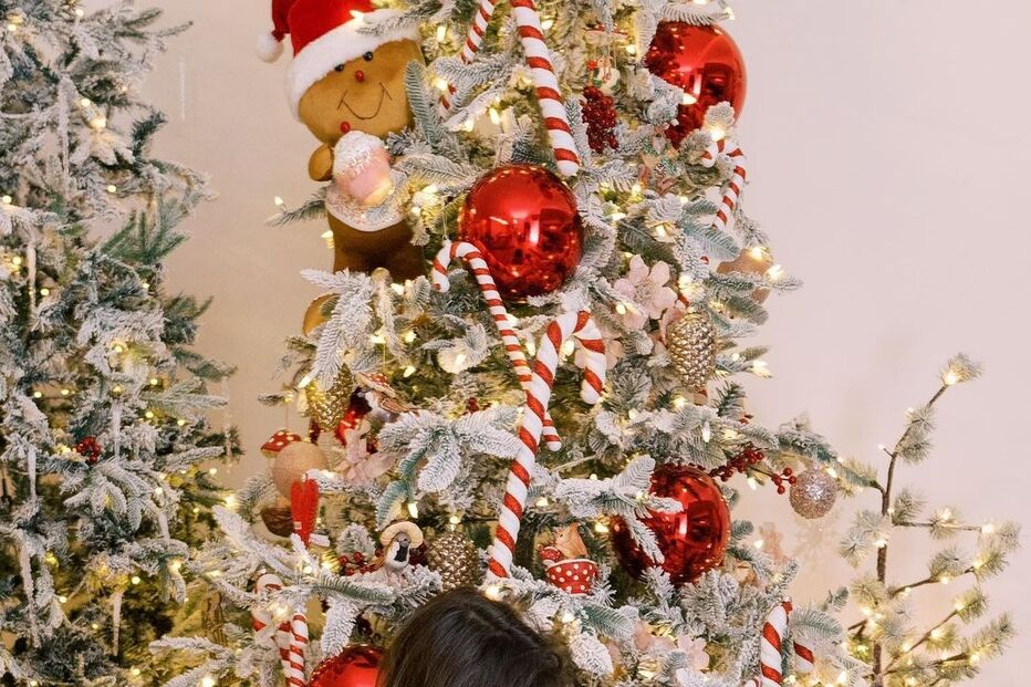 Andreia Rodrigues .jpg