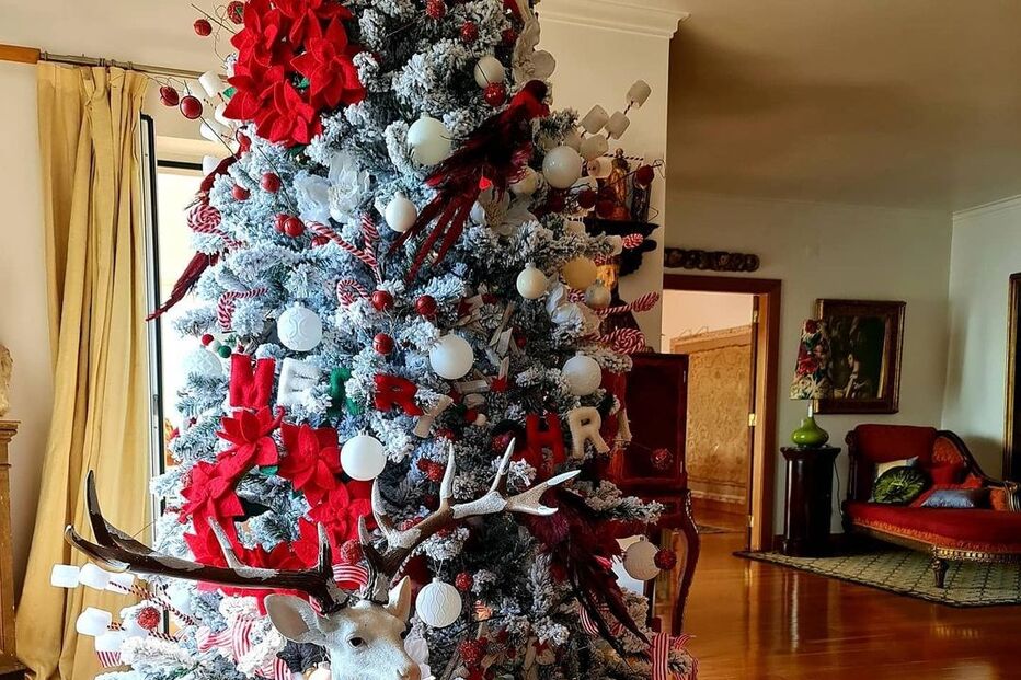 A árvore de Natal de Manuel Luís Goucha