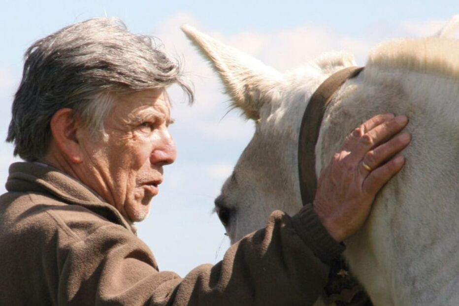 Morreu o cavaleiro Sommer d'Andrade vítima de cancro 