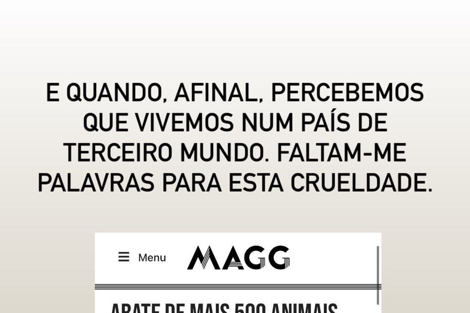 A publicação de Ana Garcia Martins