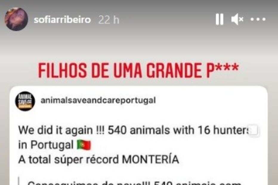 A publicação de Sofia Ribeiro