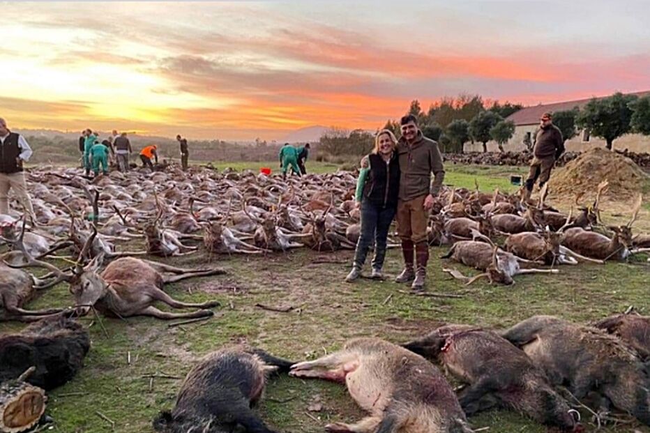 Imagem NOVA2.JPG (8304225) (Milenium)