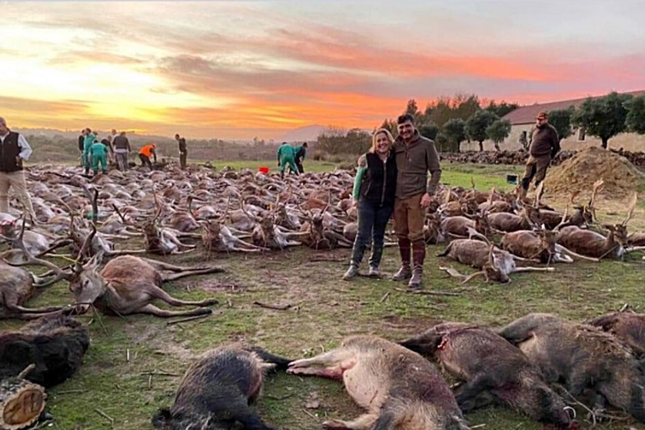 Herdade da Torre Bela, Azambuja, onde foram abatidos 540 animais