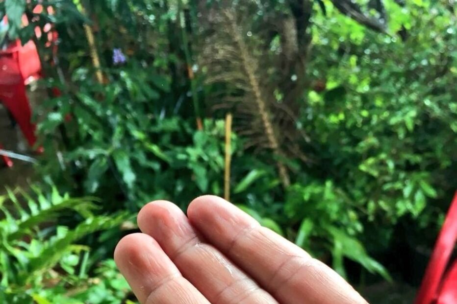 Mau tempo na Madeira