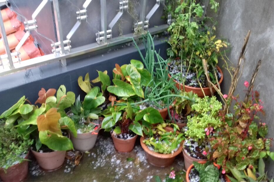 Mau tempo na Madeira