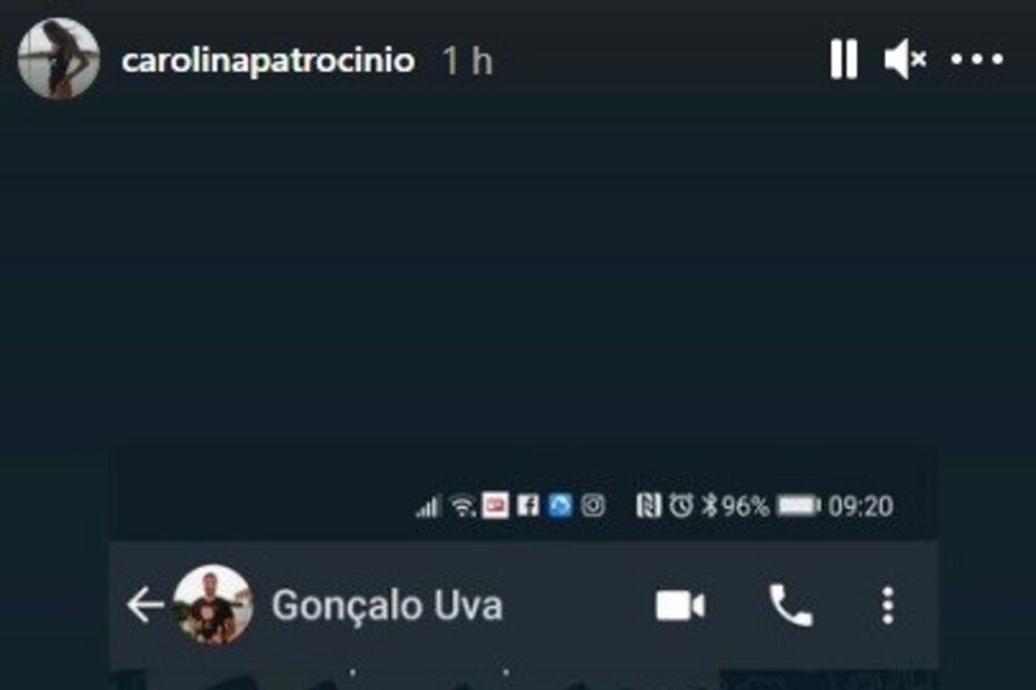 A declaração de Gonçalo Uva