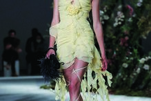 Imagem 37405666.jpg (8393377) (Milenium)