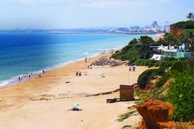 Imagem 34790116.jpg (8402111) (Milenium)