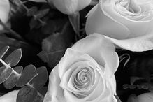 A fotografia que Bárbara Bandeira publicou