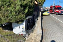 Carrinha caiu para jardim