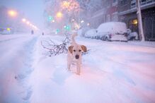 Tempestade de neve paralisa Espanha