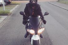 Cristina, Jorge e o filho, Rodrigo, morreram em violenta colisão com camião em contramão, em França