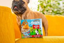 Ben & Jerry’s lança gelado só para cães