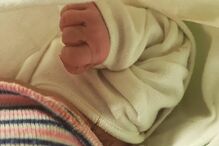 O bebé Tomé, filho de Luís Filipe Borges e Sara Santos