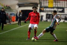 Estrela da Amadora - Benfica