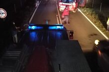 Cinco vacas morrem após colisão com carro em Cercal do Alentejo