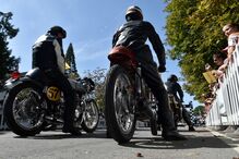 Imagem _NAF2805.JPG (8564726) (Milenium)