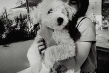 Lourenço Ortigão e Kelly Bailey