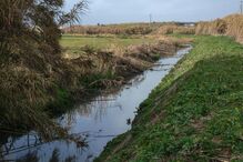 Imagem 2001RM03.JPG (8665154) (Milenium)