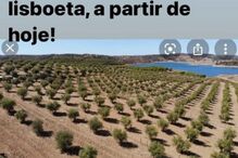 A publicação de José Carlos Malato