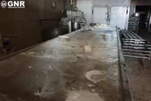 Casal albergava 22 cães dentro de padaria. Estabelecimento encerrado por falta de condições de higiene. Veja as imagens 