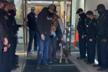 Cão polícia atingido a tiro tem alta e é recebido como um verdadeiro herói