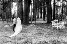 Pamela Anderson e Dan Hayhurst