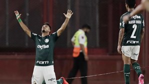 Abel Ferreira feliz com vitória frente ao River Plate mas alerta que o Palmeiras ainda não está na final da Taça dos Libertadores