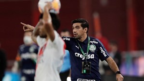 Abel Ferreira à conquista da Libertadores no Palmeiras