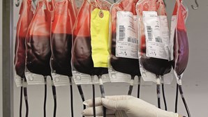 Associação de Dadores da Feira precisa de mais dádivas de sangue por jovens