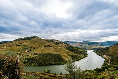 Douro vinhateiro é património da UNESCO
