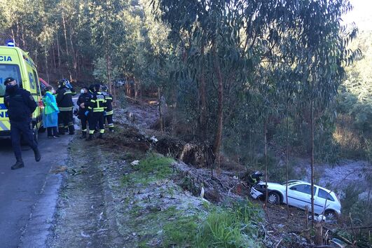 Despiste em Mire de Tibães
