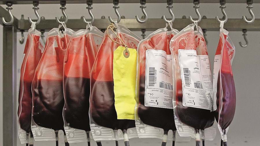 Dádivas de sangue em Portugal