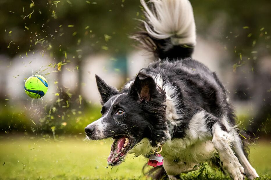 Imagem GETTYIMAGES-1012306228.JPG (8384540) (Milenium)