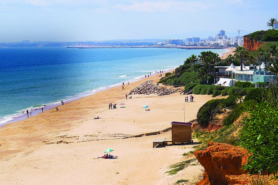 Imagem 34790116.jpg (8402111) (Milenium)