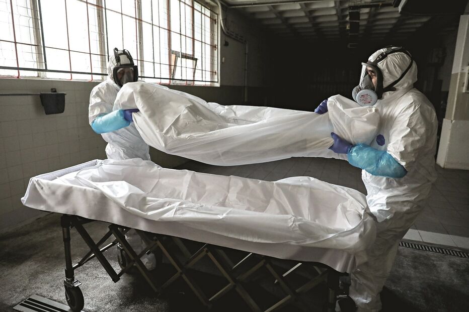 Imagem Secundaria 34375085.jpg (8402416) (Milenium)