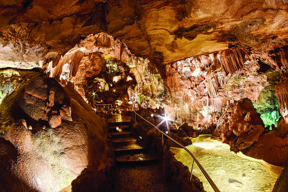 Imagem Mira Daire 17216631 copy.jpg (8414726) (Milenium)