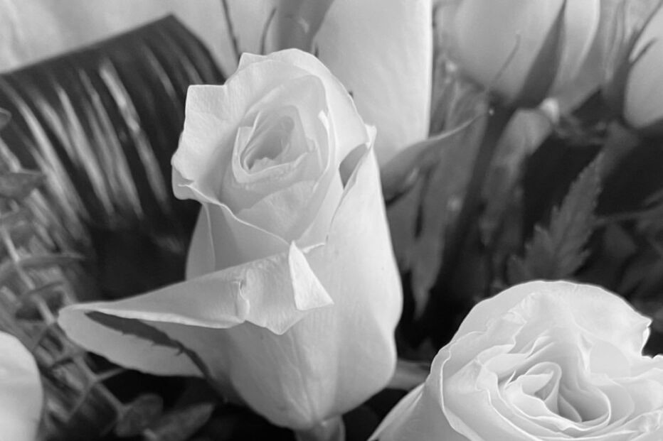 A fotografia que Bárbara Bandeira publicou